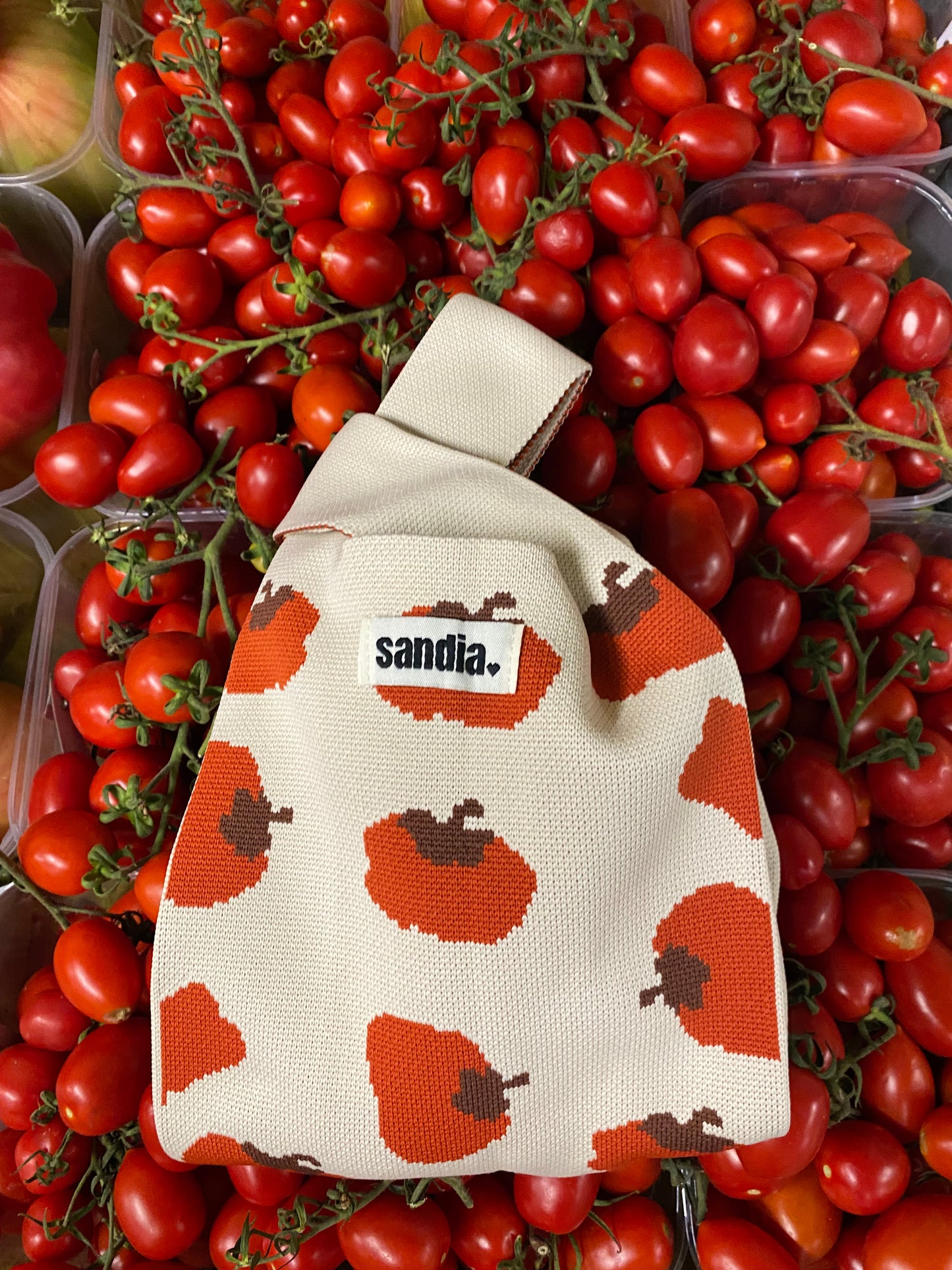 Gyoza π₯ pomodoro π